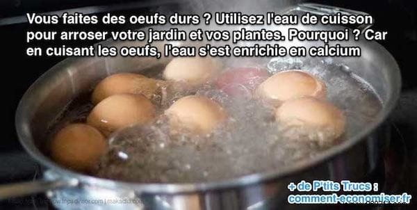 What To Do With Egg Cooking Water? Discover the Tip. 