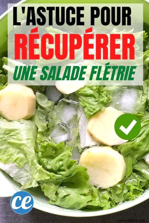 My Tip For Recovering A Wilted Salad In 20 Minutes. 