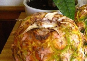 The Tip To Ripen A Pineapple Quickly. 