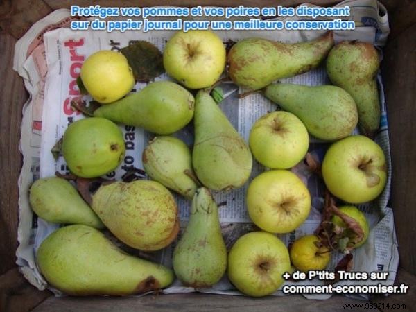The Little Simple Trick To Preserve Your Apples and Pears. 