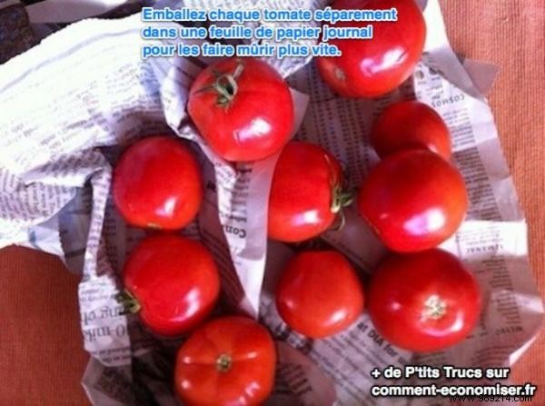The Little Trick To Ripen Your Tomatoes Faster. 