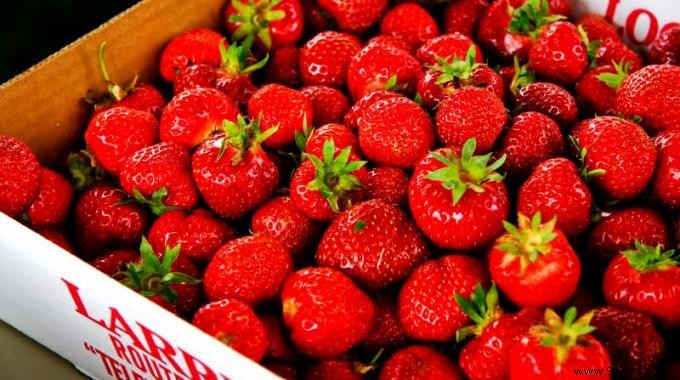 How to Wash Strawberries to Keep Them Delicious 