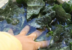 How to Wash Salad With White Vinegar to Save Water. 