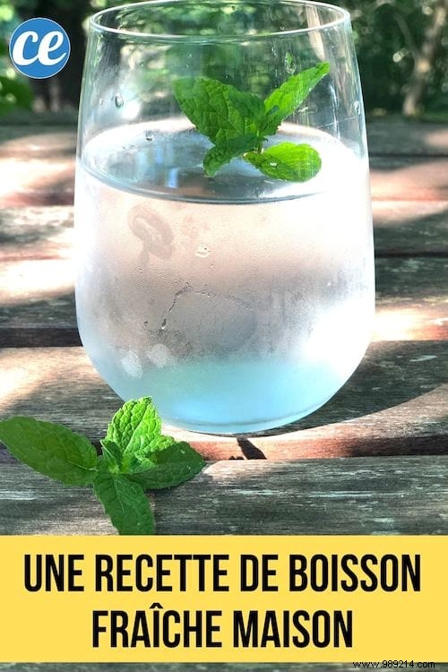 A Homemade Cool Drink Recipe You ll Love. 