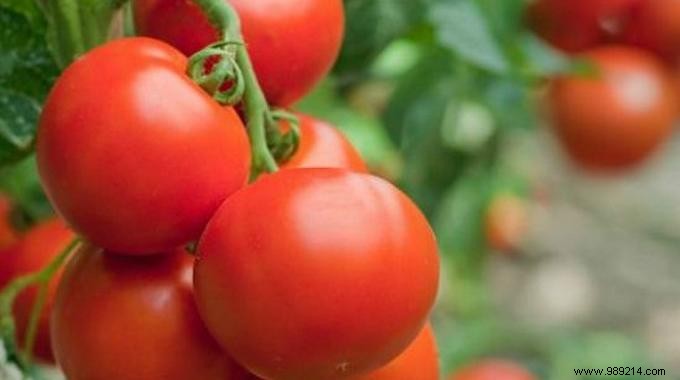 5 Ways to Use Tomatoes When They re Overripe. 