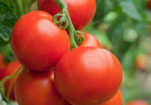5 Ways to Use Tomatoes When They re Overripe. 