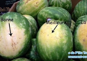 5 Essential Tips For Choosing THE BEST Watermelon. 