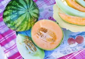 La Farandole de Melons, a Fresh &Inexpensive Starter That My Guests Love. 