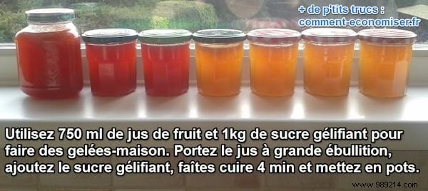 Homemade Fruit Jellies Made in Minutes for 3 Times Nothing. 