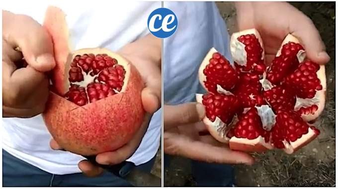The Video Trick To Peel A Pomegranate In 30 Seconds (Without Putting It Everywhere). 
