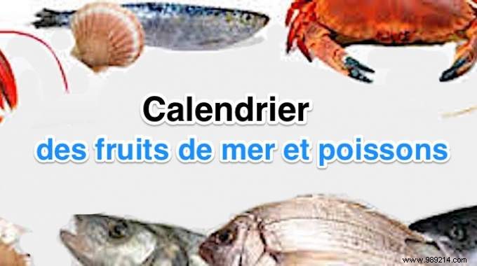 The Calendar To Pay CHEAPER Fish And Seafood According To The Season. 