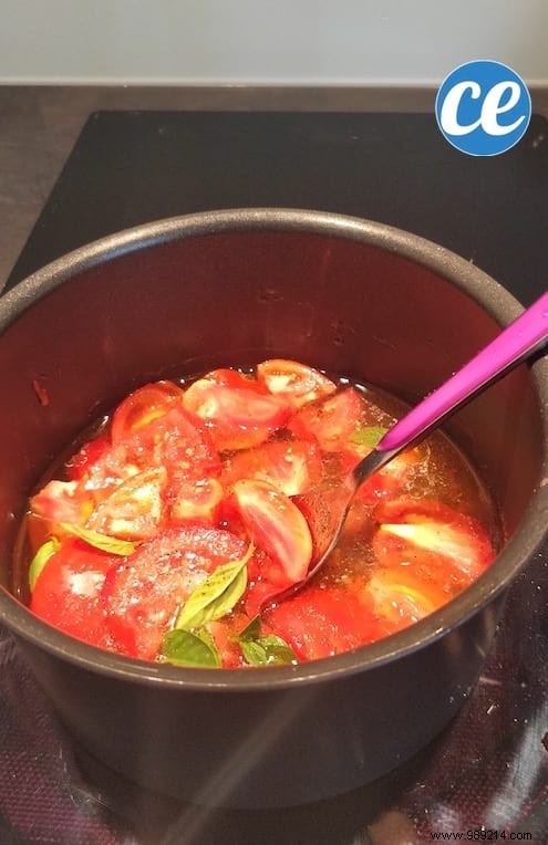 What To Do With Overripe Or Rotten Tomatoes? My Delicious Tomato Coulis Recipe. 