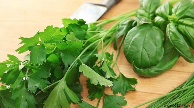 Which aromatic herbs to use in your dishes? The Guide to Never Be Wrong Again. 