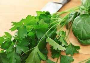 Ultimate Guide to Aromatic Herbs: Perfect Pairings for Every Dish