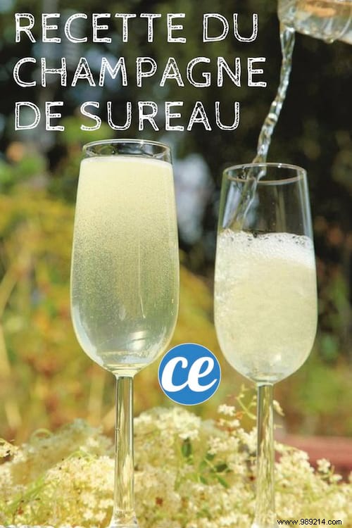 The Elderflower Champagne Recipe (Easy To Make And 100% Natural). 