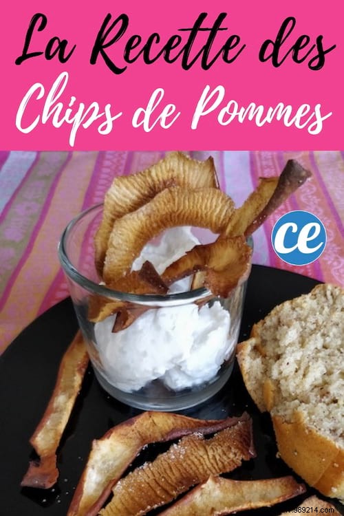 What To Do With Apple Peels? Delicious SWEET CHIPS Easy to Make. 
