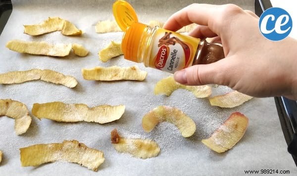 What To Do With Apple Peels? Delicious SWEET CHIPS Easy to Make. 