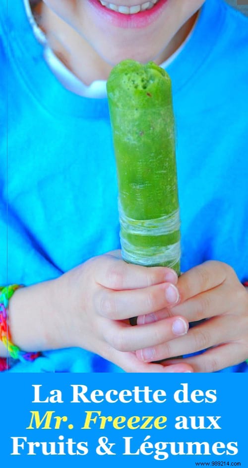 The Mr. Fruit &Veggie Freeze Recipe Your Kids Will Love! 