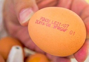 How To Crack The Code Printed On The Eggs EASILY. 