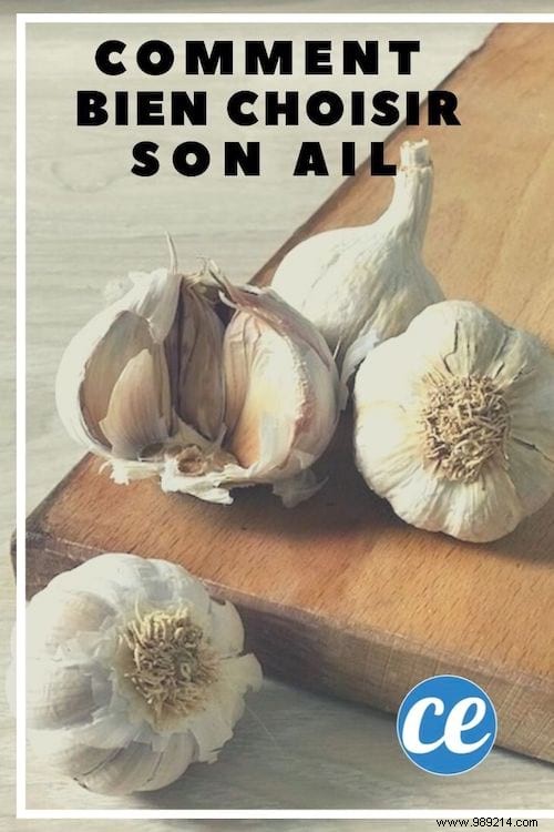 How to choose the right garlic? The Infallible Tip To Not Go Wrong. 