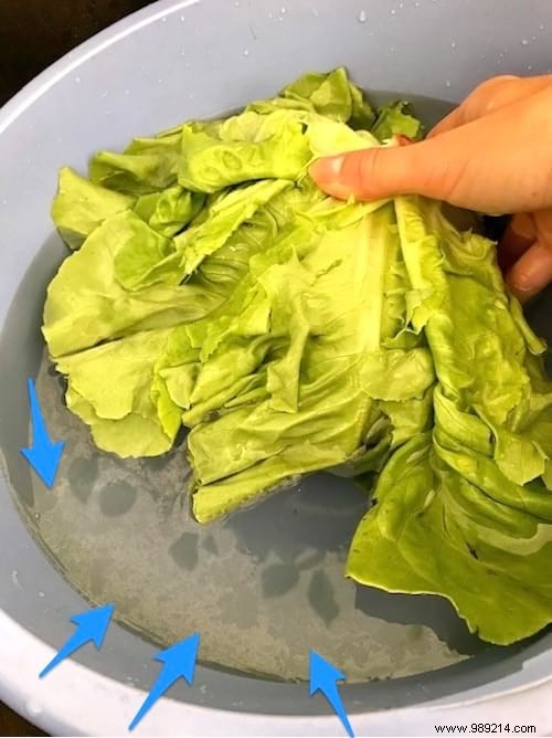 The Simple And Effective Trick To Remove PESTICIDES From A Salad. 