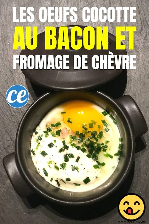 Bacon Cocotte Eggs:A Delicious Easy &Cheap Recipe. 