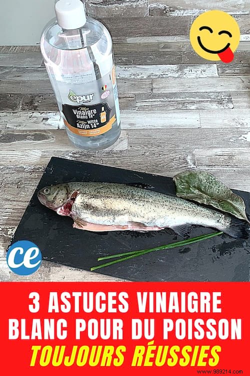 3 White Vinegar Tips For Always Successful Fish. 