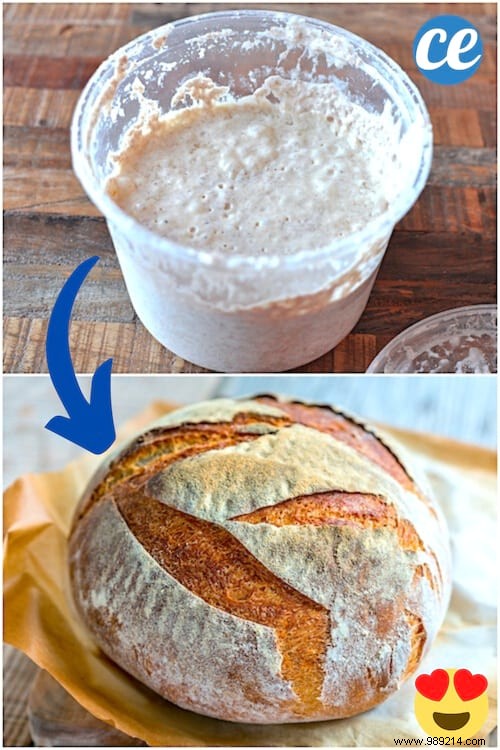How to Make Homemade Baker s Yeast? Here are 3 Easy Recipes. 
