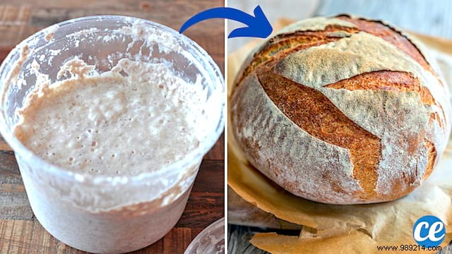 How to Make Homemade Baker s Yeast? Here are 3 Easy Recipes. 