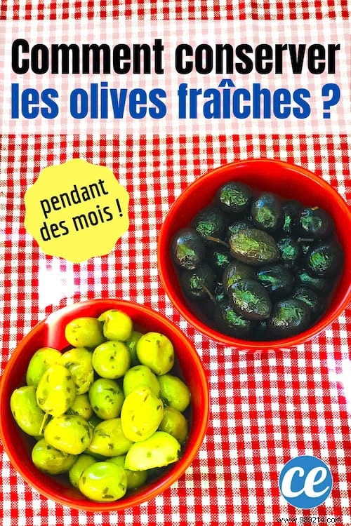 Here s How To Keep Olives Fresh For Months! 
