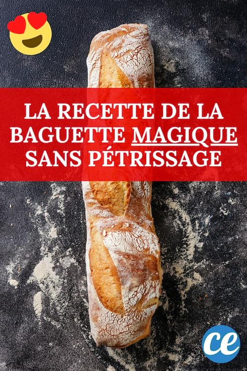 The ULTRA EASY Homemade Baguette Recipe With Only 4 Ingredients! 