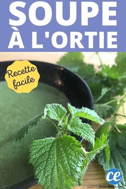 Old Fashioned Nettle Soup:My Easy Recipe That Costs Nothing! 
