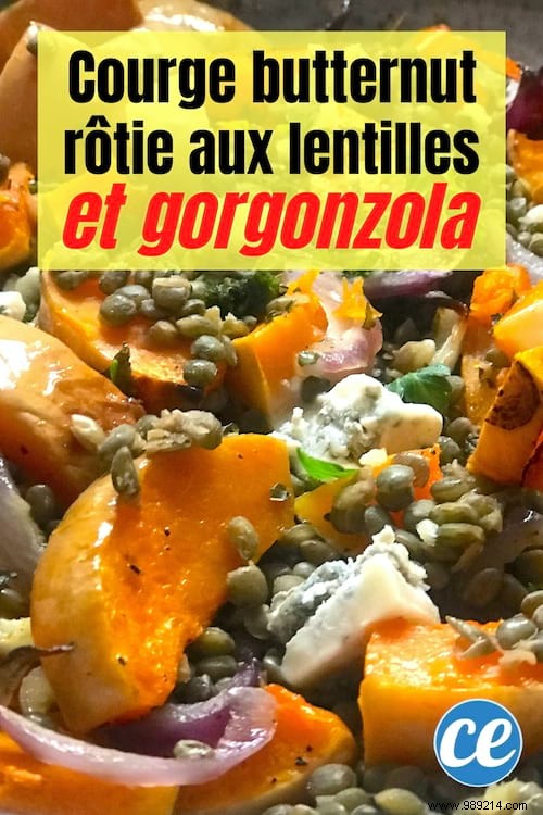 Roasted Butternut Squash with Lentils &Gorgonzola:An Easy &Delicious Recipe. 