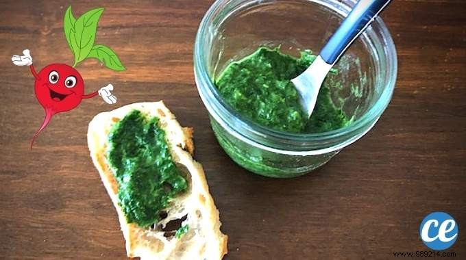 How to Cook Radish Tops? Make This Delicious Homemade Pesto. 