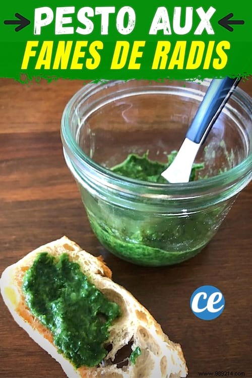 How to Cook Radish Tops? Make This Delicious Homemade Pesto. 