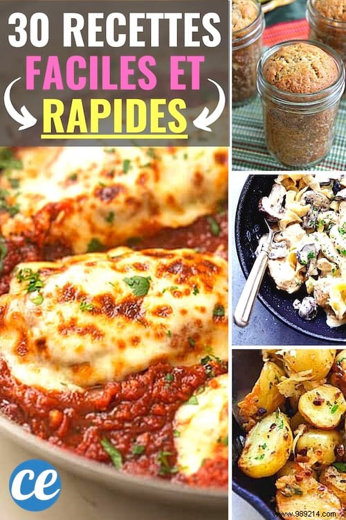 30 Easy, Quick and Cheap Recipes! 