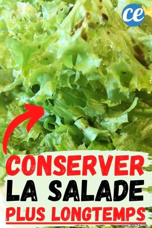 The life-changing tip for keeping salad fresh. 