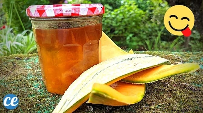 Melon Bark Jam:The Delicious Anti-Waste Recipe! 