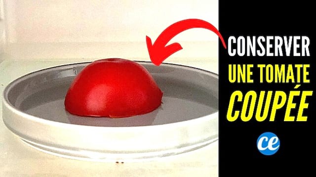 How to Store a Cut Tomato? THE Anti-Waste Tip You Should Know. 