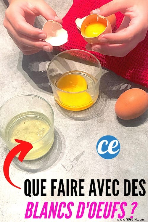 What to do with leftover egg whites? 8 Unique Ways to Reuse them. 