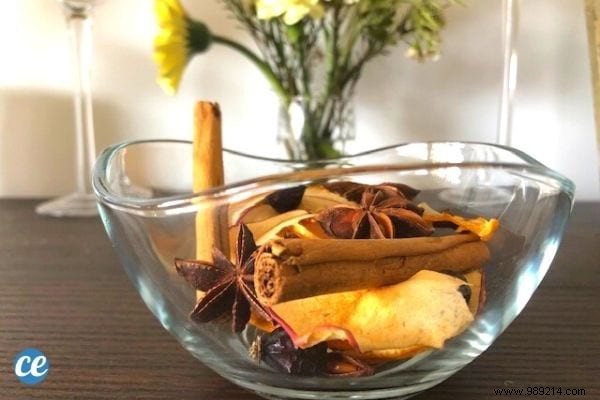 How to Make a Christmas Pot-Pourri in 2 Min (And Perfume Your Whole House). 