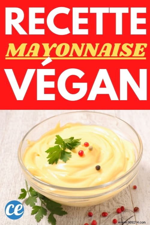 Make Your Own Vegan Mayonnaise in 3 Min (Delicious &Egg Free). 