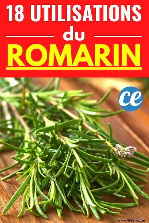 18 Amazing Uses of Rosemary (Revealed By My Naturopath). 