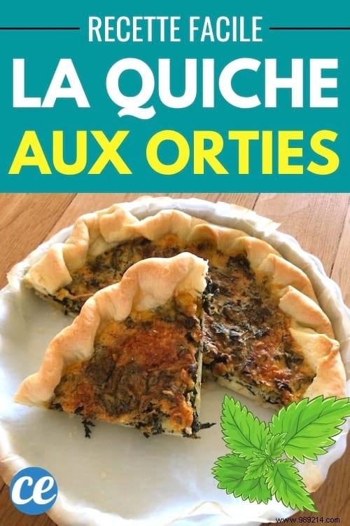 Fresh Nettle Tart:A Delicious (and Almost Free) Recipe. 