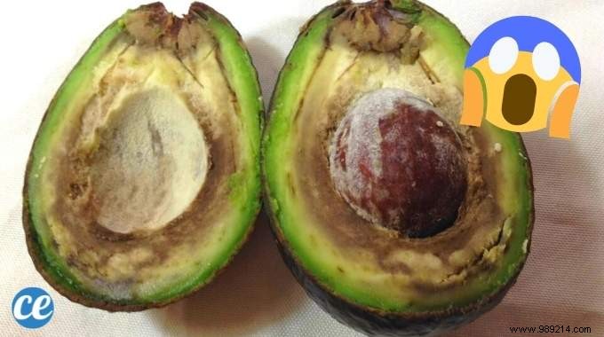 What To Do With An Overmature Avocado? 11 Uses Nobody Knows About. 