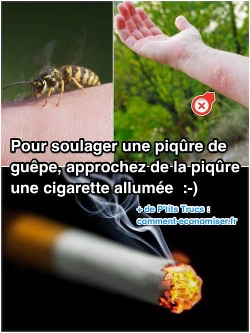 How to quickly relieve a wasp sting with a cigarette. 