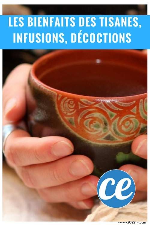 Herbal Teas, Infusions, Decoctions:Different Benefits. 
