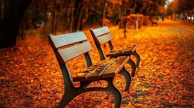 How to face the Autumn Depression? 5 Remedies to Know. 