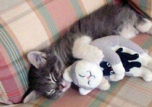 The Unknown Drink To Fall Asleep Quickly. 