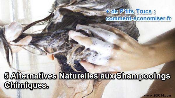 5 Natural Alternatives to Chemical Shampoos. 